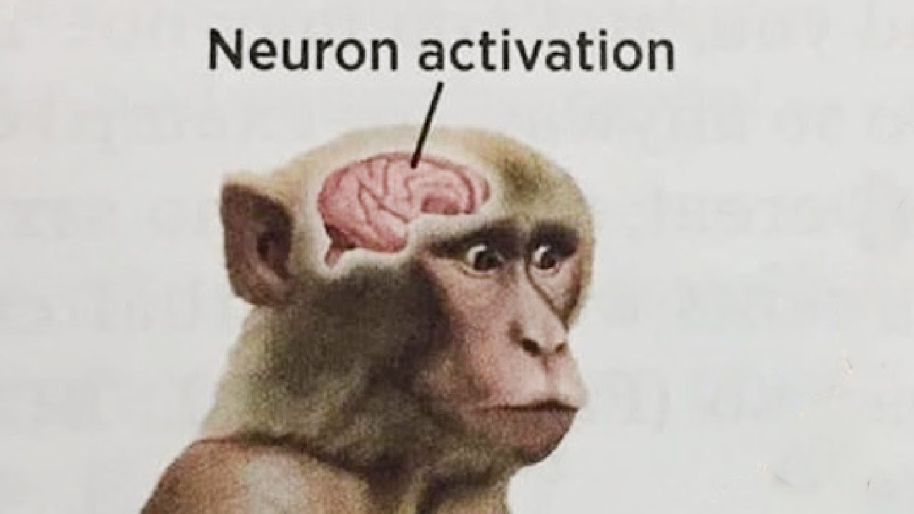 Neuron Activation Diagram